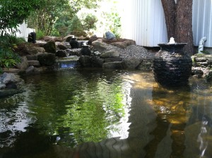 15x16 Ecosystem Pond Cost in NJ 