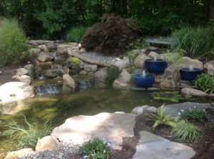 16x21 Ecosystem Pond Cost in NJ 