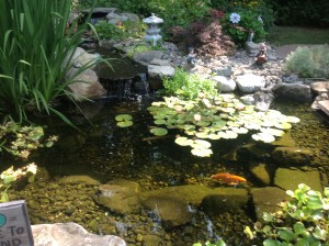 11x16 Ecosystem Pond Cost in NJ 